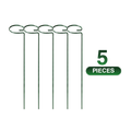 Stem Plant Support Stakes