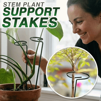 Stem Plant Support Stakes