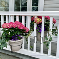 Floating Railing Planter - Plant Clip