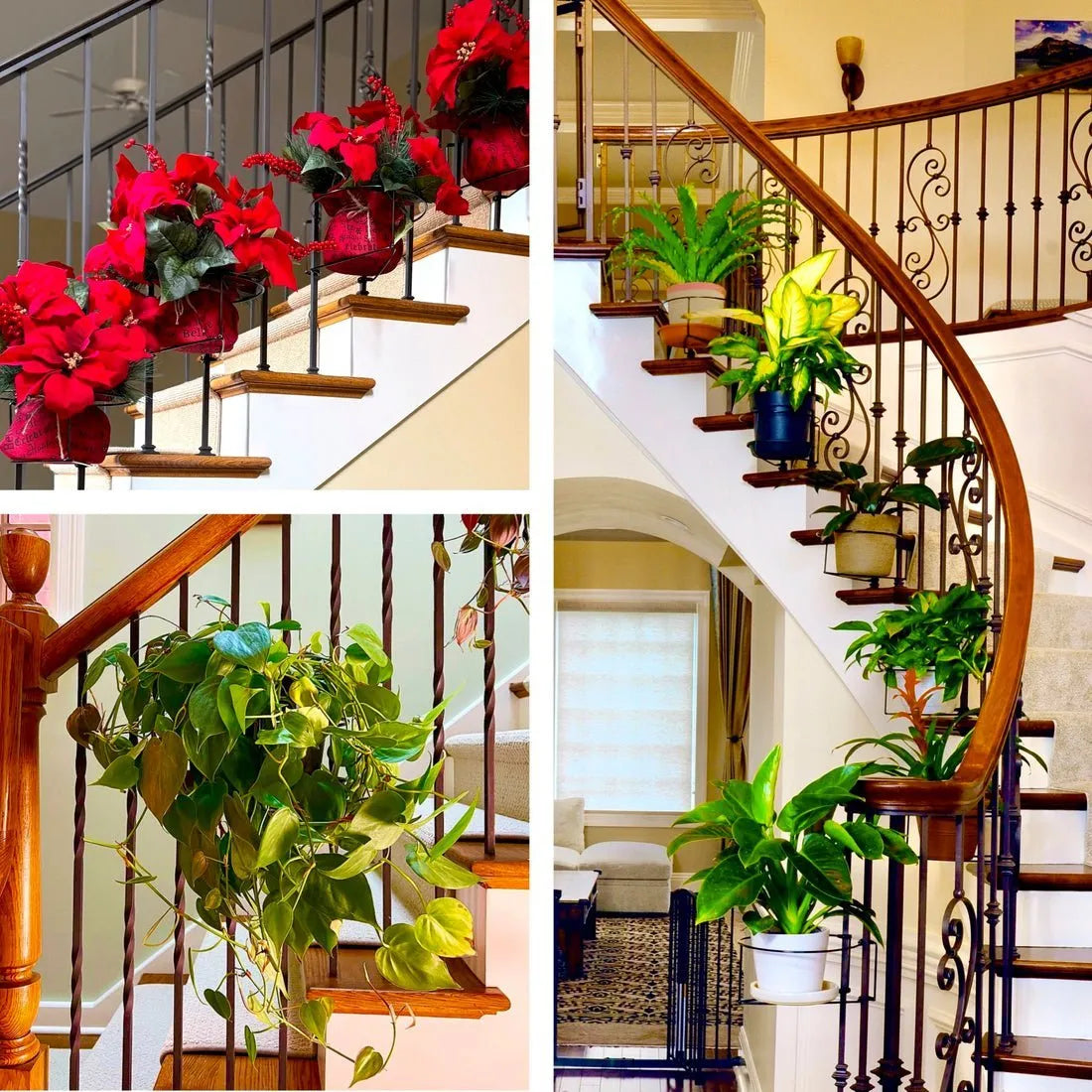 Floating Railing Planter - Plant Clip